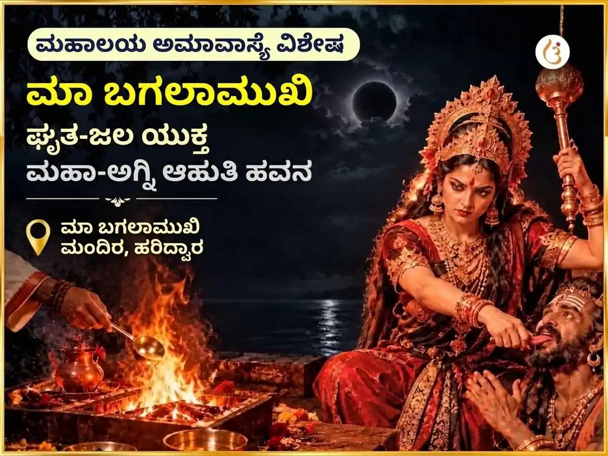 ಮಹಾಲಯ ಅಮಾವಾಸ್ಯೆ ವಿಶೇಷ ಮಾ ಬಗಲಾಮುಖಿ ಘೃತ-ಜಲ ಯುಕ್ತ ಮಹಾ-ಅಗ್ನಿ ಆಹುತಿ ಹವನ puja image 1