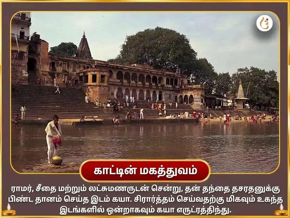 சர்வ பித்ரு அமாவாஸ்ய விசேஷ கயா தீர்த்த பித்ரு சாந்தி தர்ப்பணம் & பிண்ட தானம் puja gallery 3