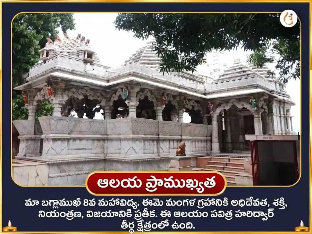 మహాలయ అమావాస్య విశేష్ మా బగళాముఖి ఘృత-జల యుక్త మహా-అగ్ని ఆహుతి హవనం puja gallery 4