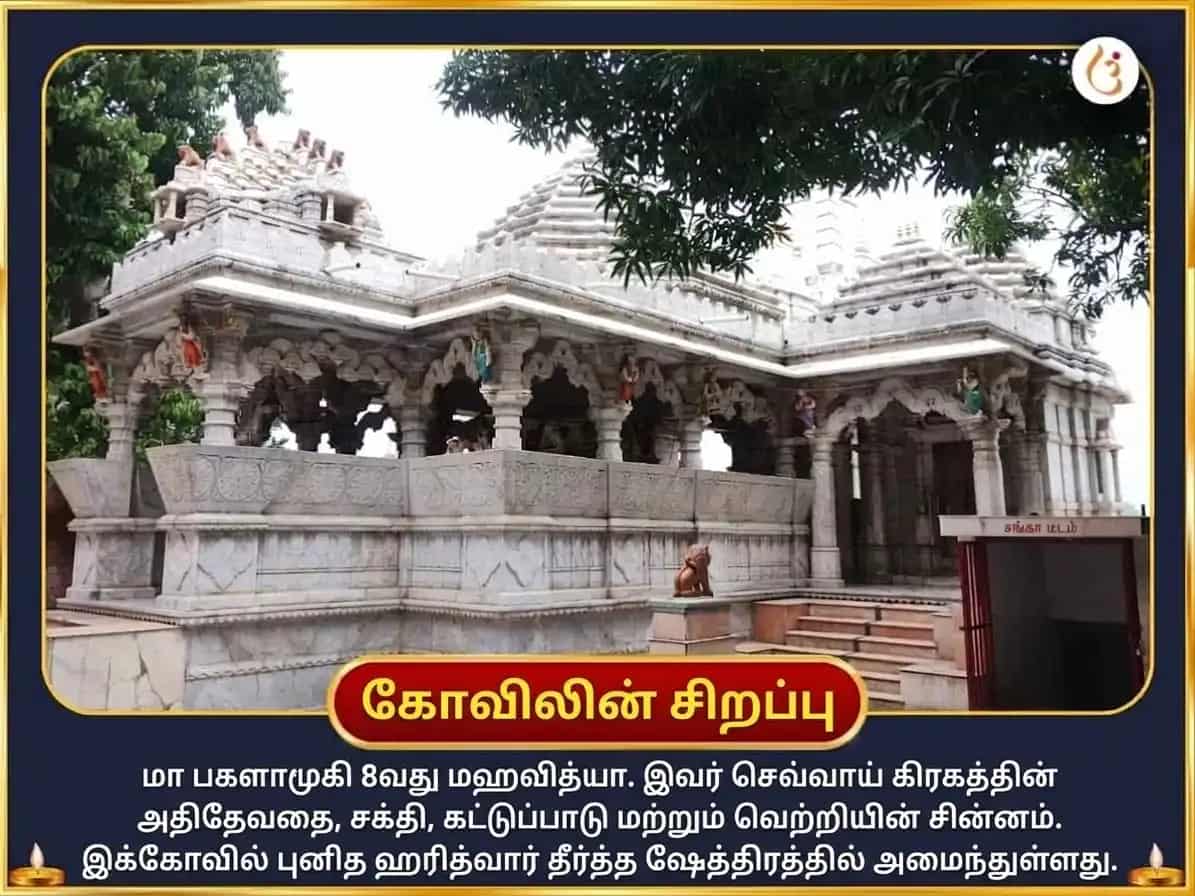 மஹாளய அமாவாசை விசேஷ மா பக்ளாமுகி கிருத-ஜல யுக்த மஹா-அக்னி ஆஹுதி ஹவன் puja gallery 4