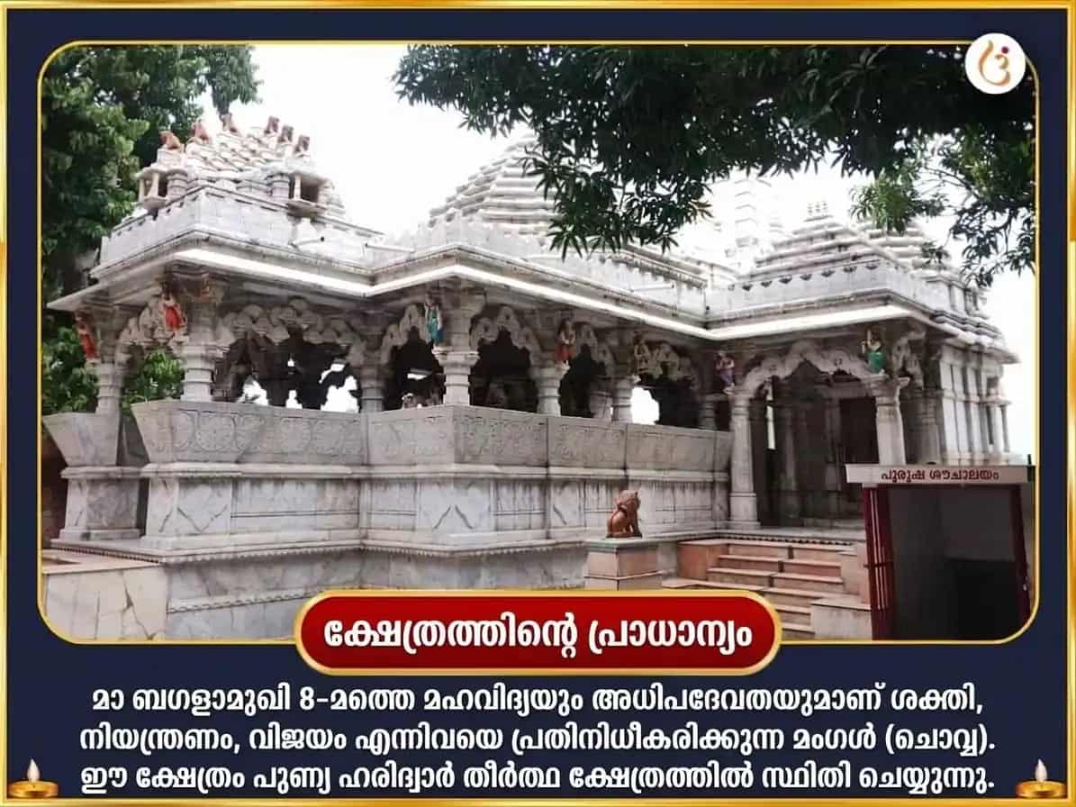 മഹാലയ അമാവാസി വിശേഷ മാ ബഗളാമുഖി ഘൃത-ജല യുക്ത മഹാ-അഗ്നി ആഹുതി ഹവൻ puja gallery 4