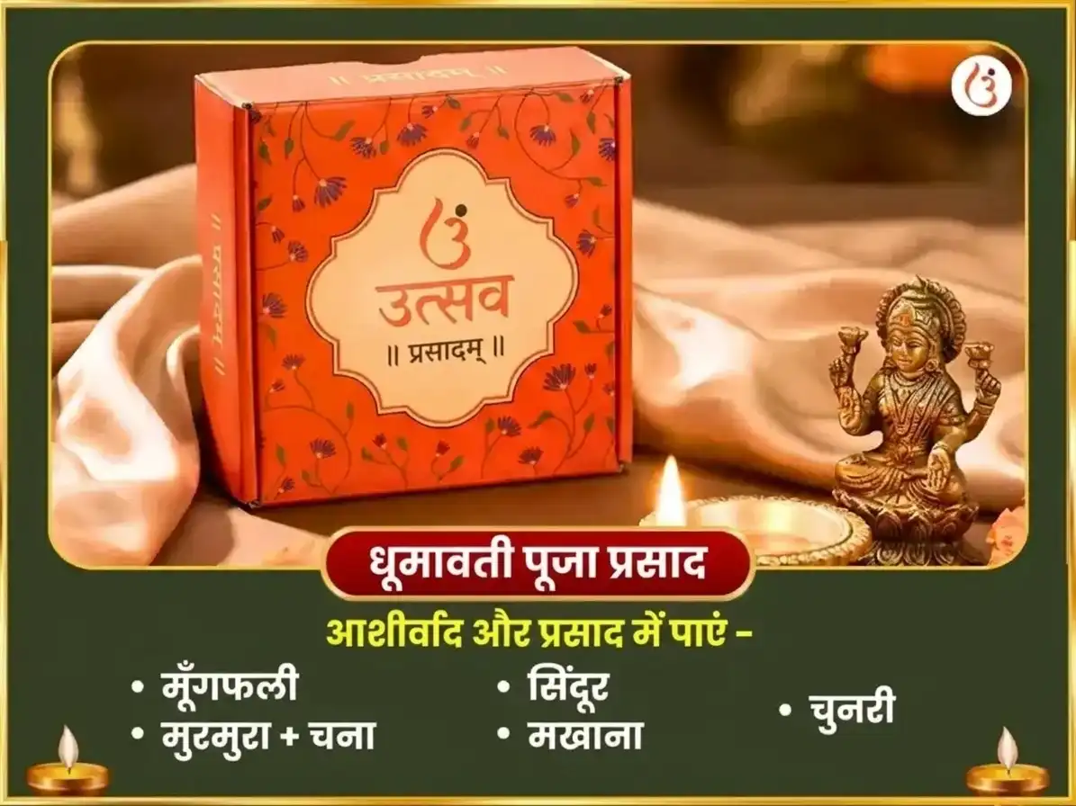 सर्व पितृ अमावस्या विशेष सौभाग्य धूमावती सौभाग्य प्राप्ति कर्म शुद्धि बीज मंत्र जाप और उच्छिष्ट गणपति घृत स्नेहन एवं मधुरस अभिषेक puja gallery 4