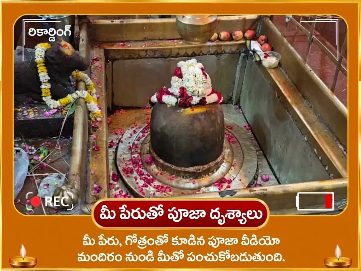 అరుదైన 1:1 పోర్టల్ విశేష్ 10000 సూర్య మూల మంత్రం & 100 లోటాల జల అర్ఘ్య అర్పణ puja gallery 2