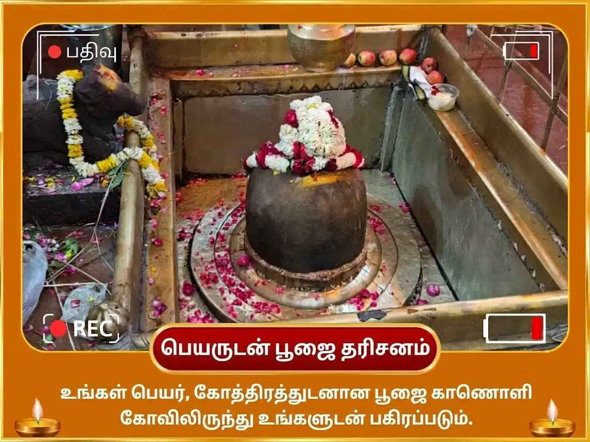 அபூர்வ 1:1 போர்டல் விசேஷ 10000 சூர்ய மூல மந்திரம் மற்றும் 100 லோட்டா ஜல அர்க்ய அர்ப்பணம் puja gallery 2