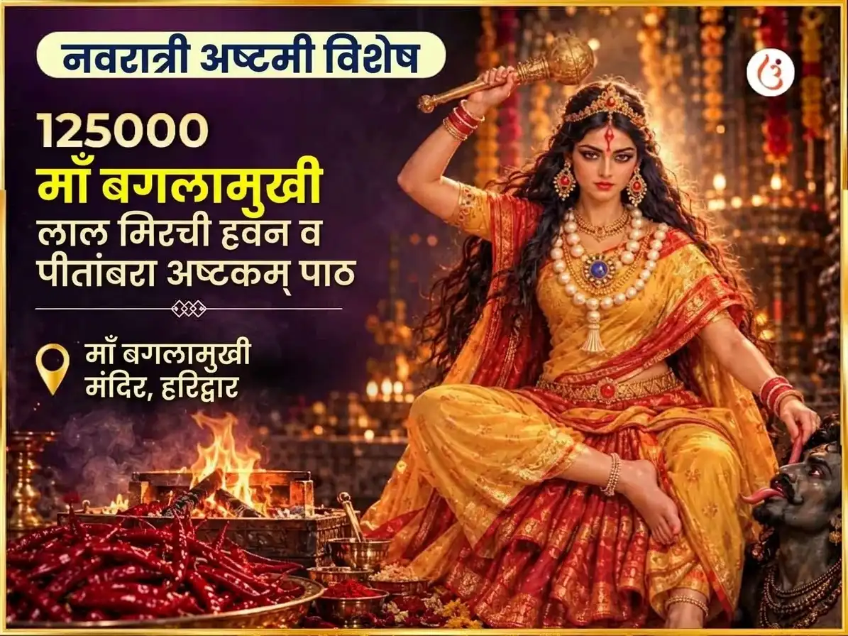 नवरात्री विशेष 125000 माँ बगलामुखी लाल मिरची हवन आणि पीतांबरा अष्टकम पाठ puja image 1