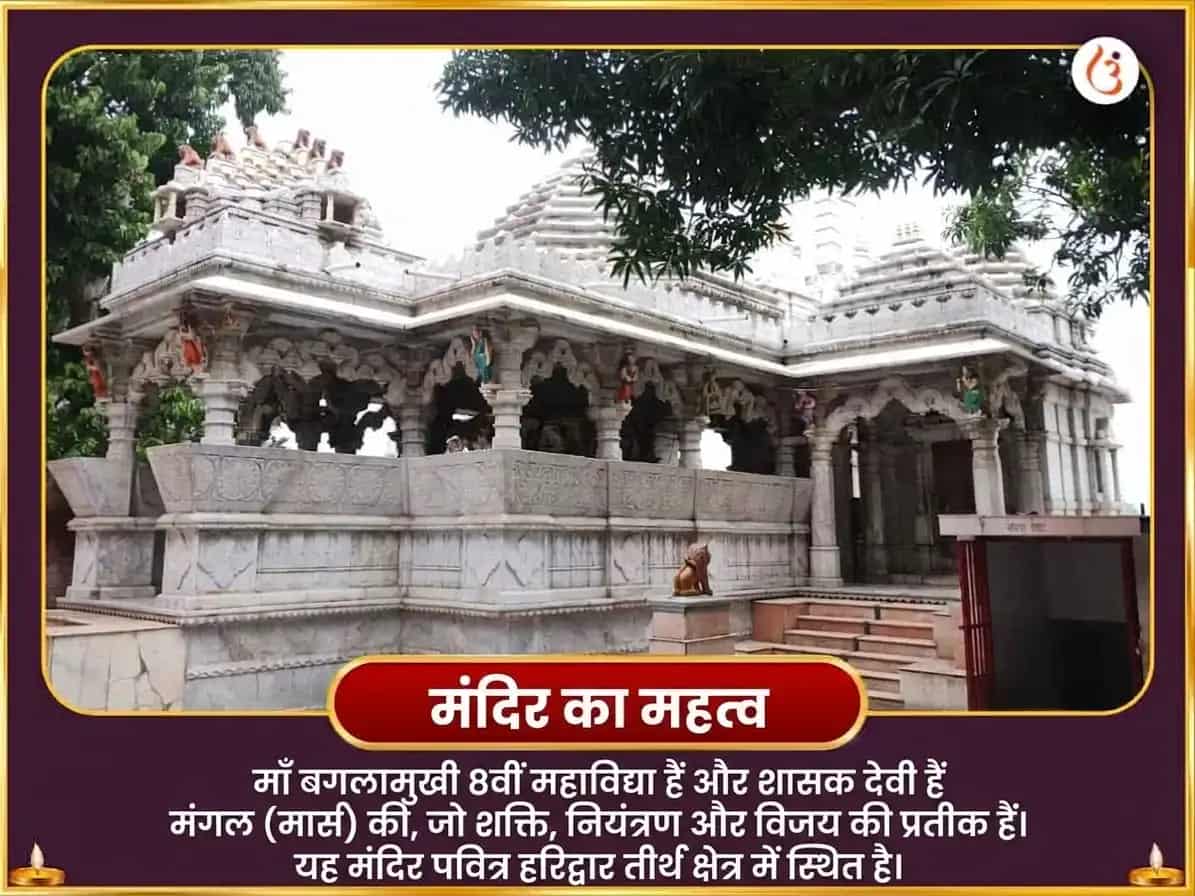 नवरात्रि विशेष 125000 माँ बगलामुखी लाल मिर्च हवन और पीताम्बरा अष्टकम पाठ puja gallery 4