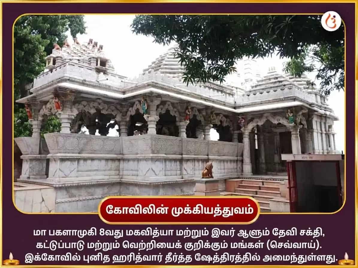 நவராத்திரி விசேஷ் 125000 மா பக்ளாமுகி லால் மிர்ச்சி ஹவன் & பீதாம்பரா அஷ்டகம் பாராயணம் puja gallery 4