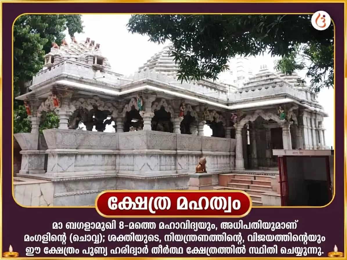 നവരാത്രി വിശേഷ് 125000 മാ ബഗളാമുഖി ലാൽ മിർച്ചി ഹവൻ & പീതാംബര അഷ്ടകം പാഠം puja gallery 4