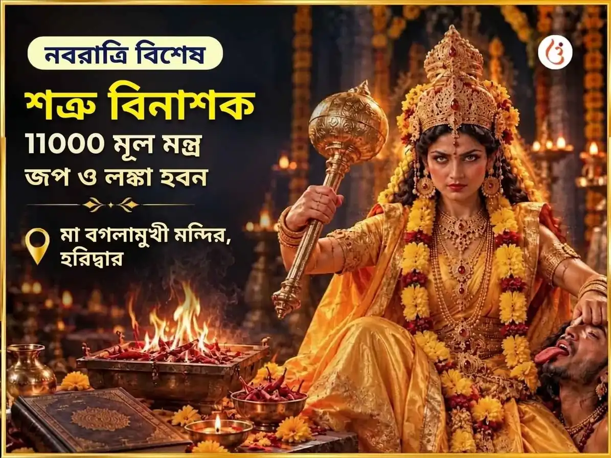 নবরাত্রি বিশেষ শত্রুনাশক 11000 মূল মন্ত্র জপ মহাপূজা ও मिरची হবন puja image 1