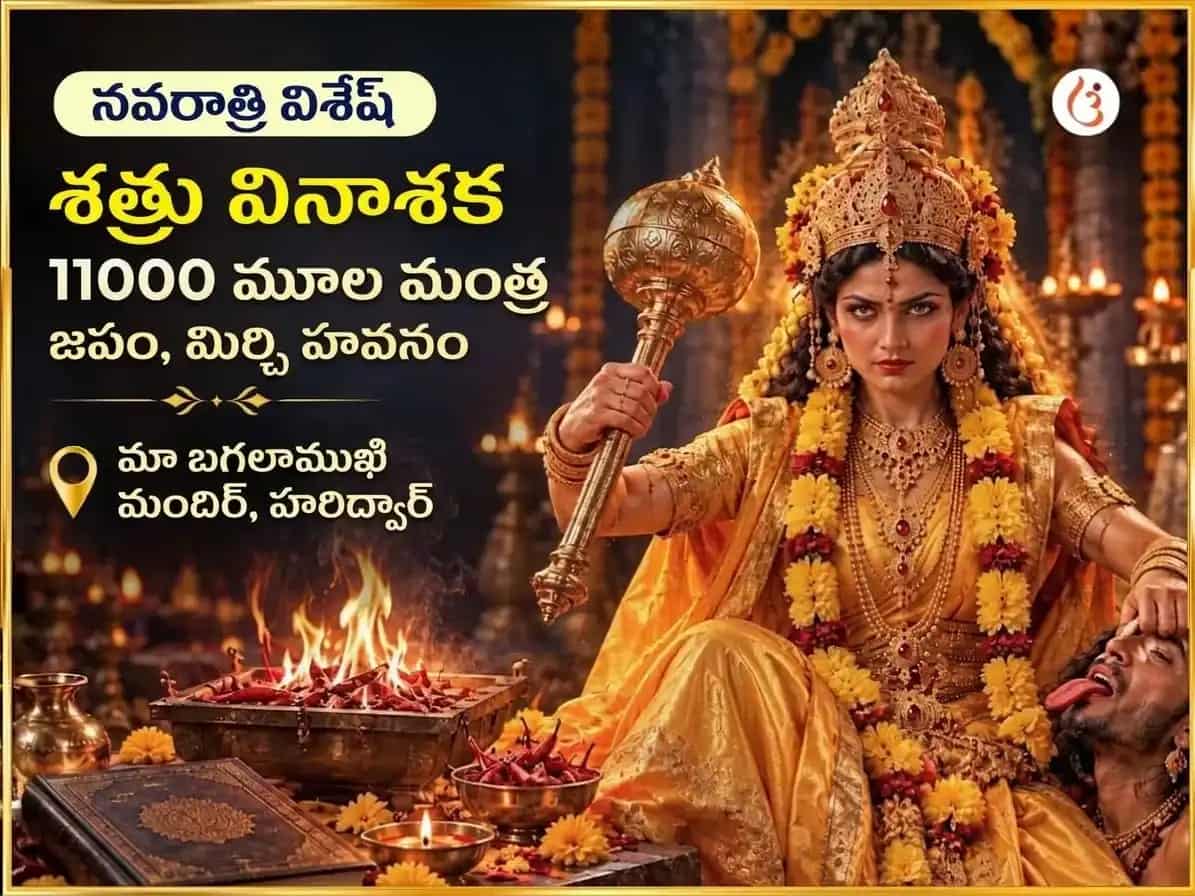 నవరాత్రి విశేష్ శత్రువినాశక్ 11000 మూల మంత్ర జాప్ మహాపూజ మరియు మిర్చి హవన్ puja image 1