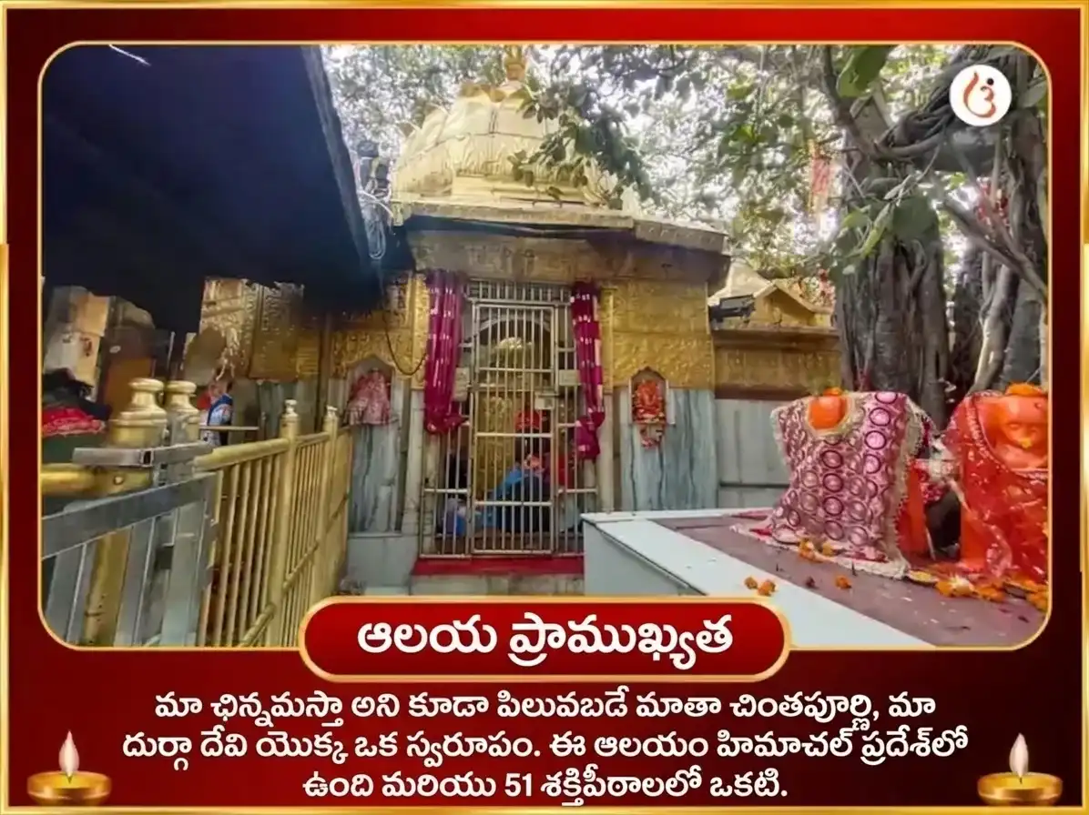 నవరాత్రి విశేష్ మా చింతపూర్ణి రాహు శాంతి చండీ పాఠం & హవనం puja gallery 4