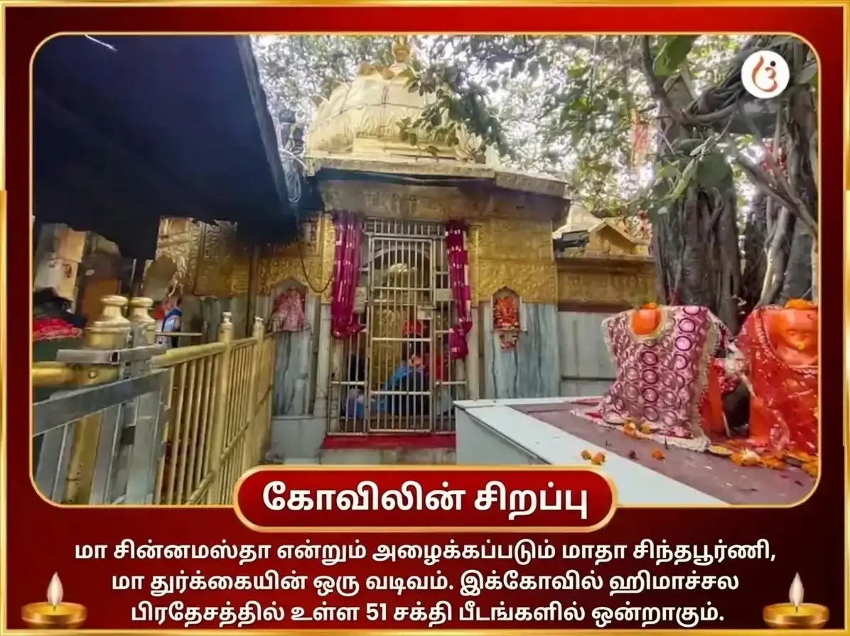 நவராத்திரி விசேஷம் மா சிந்த்பூர்ணி ராகு சாந்தி சண்டி பாத் & ஹவன் puja gallery 4