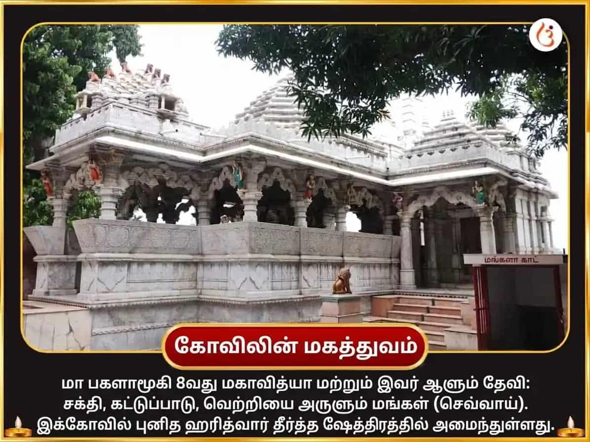 நவராத்திரி விசேஷ சத்ருவிநாசக 11000 மூல மந்திர ஜப மகாபூஜை மற்றும் மிர்ச்சி ஹவன் puja gallery 4