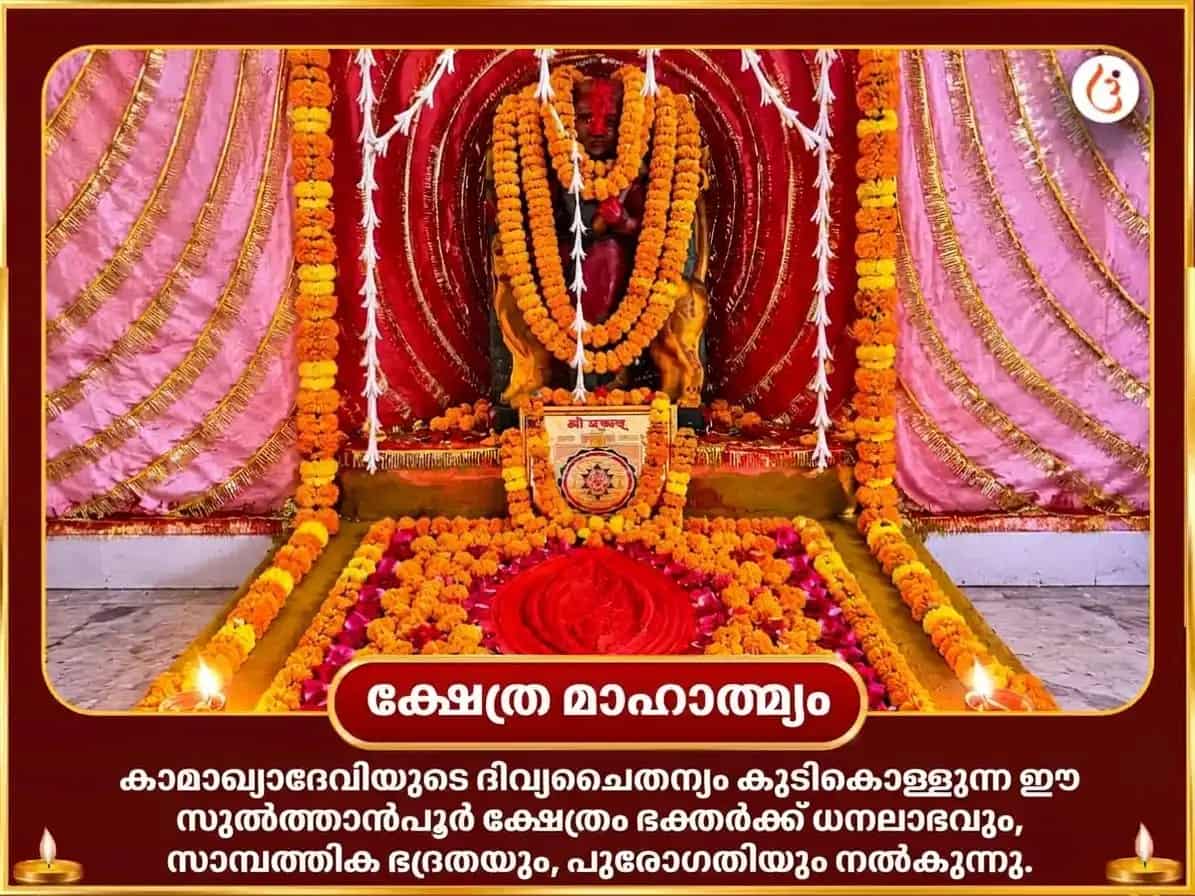 നവരാത്രി വിശേഷ് മാ കാമാഖ്യ നസർ ദോഷ് നിവാരൺ തന്ത്ര സിദ്ധി മഹാ പൂജ puja gallery 4