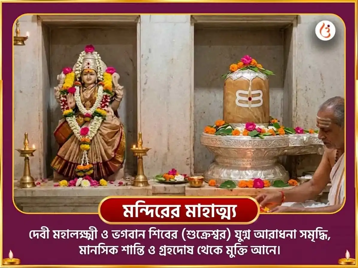 নবরাত্রি ষষ্ঠী বিশেষ ২৪০০০ শুক্র গায়ত্রী মন্ত্র জপ ও মহালক্ষ্মী শ্রী যন্ত্র অভিষেক ও নৈবেদ্য সেবা puja gallery 5