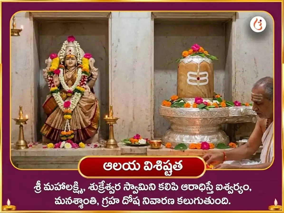 నవరాత్రి షష్ఠి విశేష్ 24000 శుక్ర గాయత్రీ మంత్ర జాప్ & మహా లక్ష్మి శ్రీ యంత్ర అభిషేక్ & నైవేద్య సేవ puja gallery 5