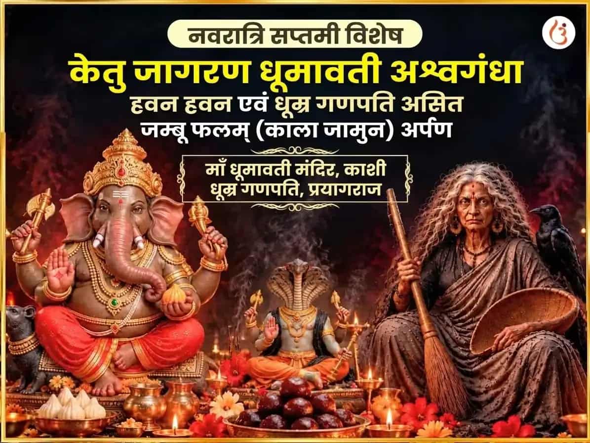 नवरात्रि सप्तमी विशेष केतु सक्रियण धूमावती अश्वगंधा हवन एवं धूम्र गणपति असित जम्बु फलम् (काला जामुन) अर्पण puja image 1