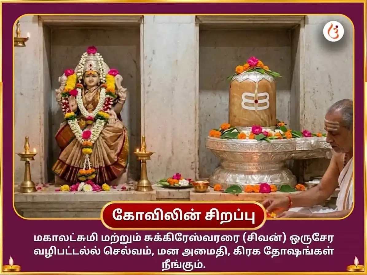 நவராத்திரி சஷ்டி விசேஷ 24000 சுக்ர காயத்ரி மந்திர ஜபம் மற்றும் மகா லட்சுமி ஸ்ரீ யந்திர அபிஷேகம் மற்றும் நைவேத்திய சேவா puja gallery 5