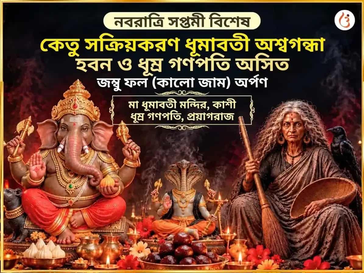 নবরাত্রি সপ্তমী বিশেষ কেতু জাগরণ ধূমাবতী অশ্বগন্ধা হবন এবং ধূম্র গণপতি অসিত জম্বু ফলম (কালো জাম) অর্পণ puja image 1