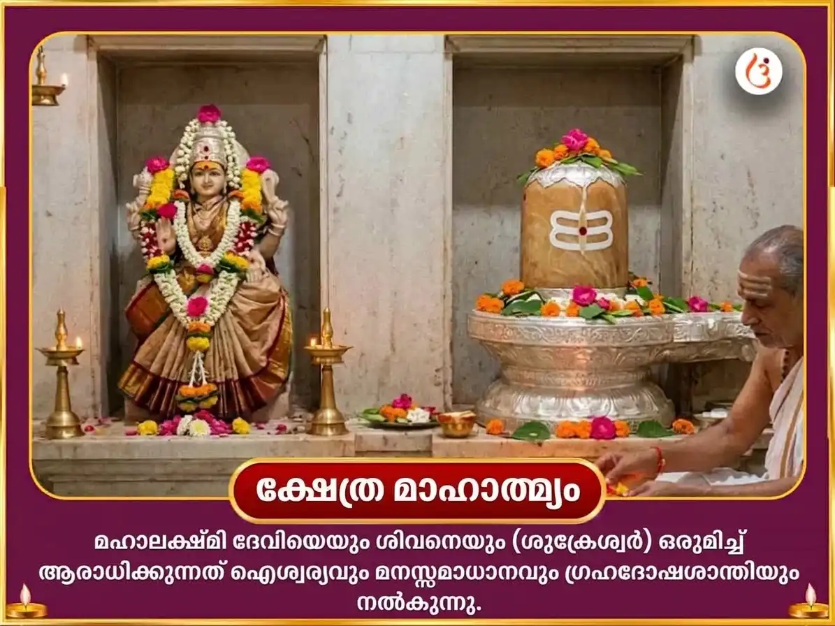 നവരാത്രി ഷഷ്ഠി വിശേഷ് 24000 ശുക്ര ഗായത്രി മന്ത്ര ജപം & മഹാലക്ഷ്മി ശ്രീ യന്ത്ര അഭിഷേകം & നൈവേദ്യ സേവ puja gallery 5
