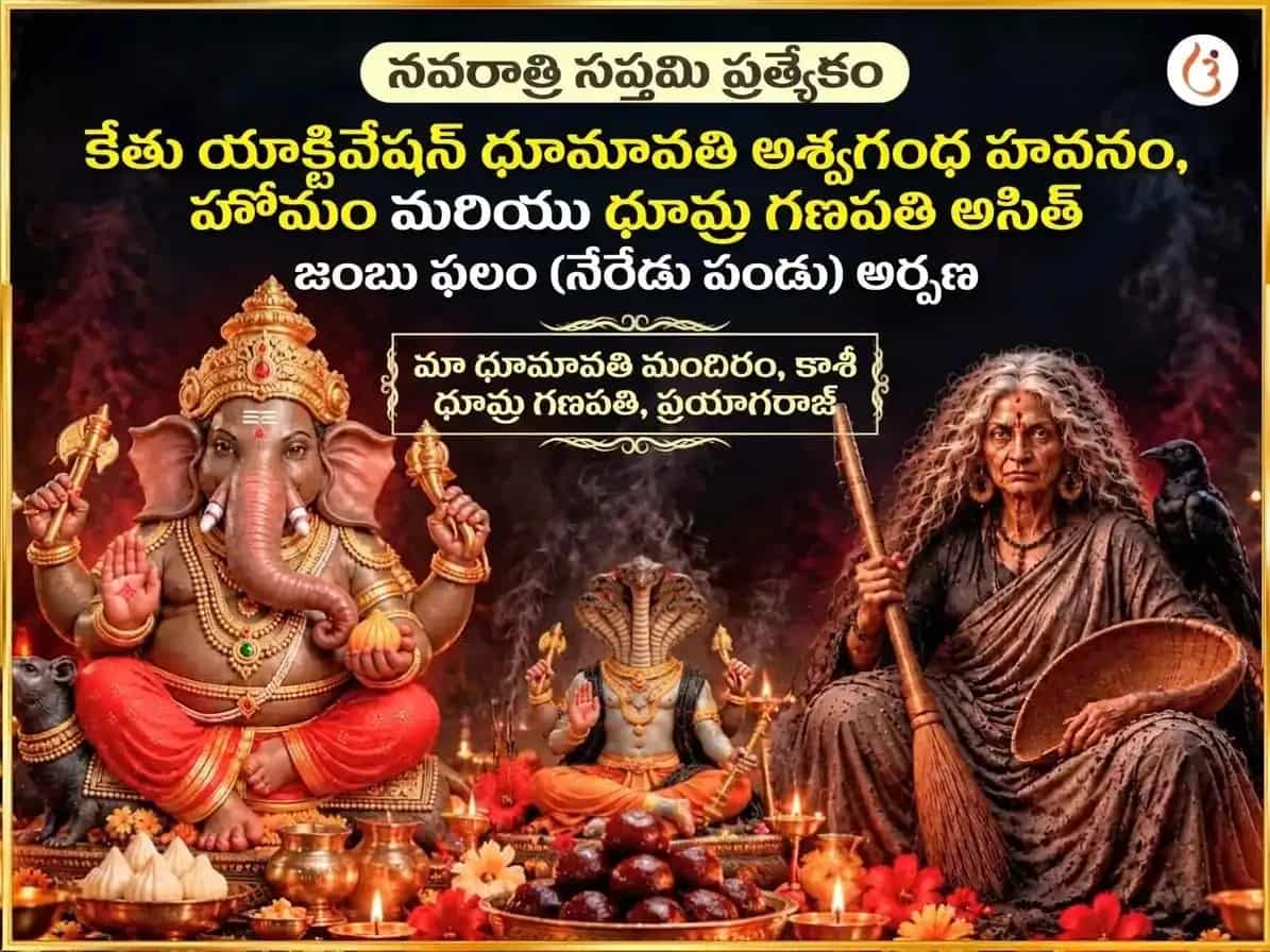 నవరాత్రి సప్తమి ప్రత్యేక కేతు యాక్టివేషన్ ధూమావతి అశ్వగంధ హవనం & ధూమ్ర గణపతి అసిత్ జంబు ఫలం (కాల జామూన్) అర్పణ puja image 1