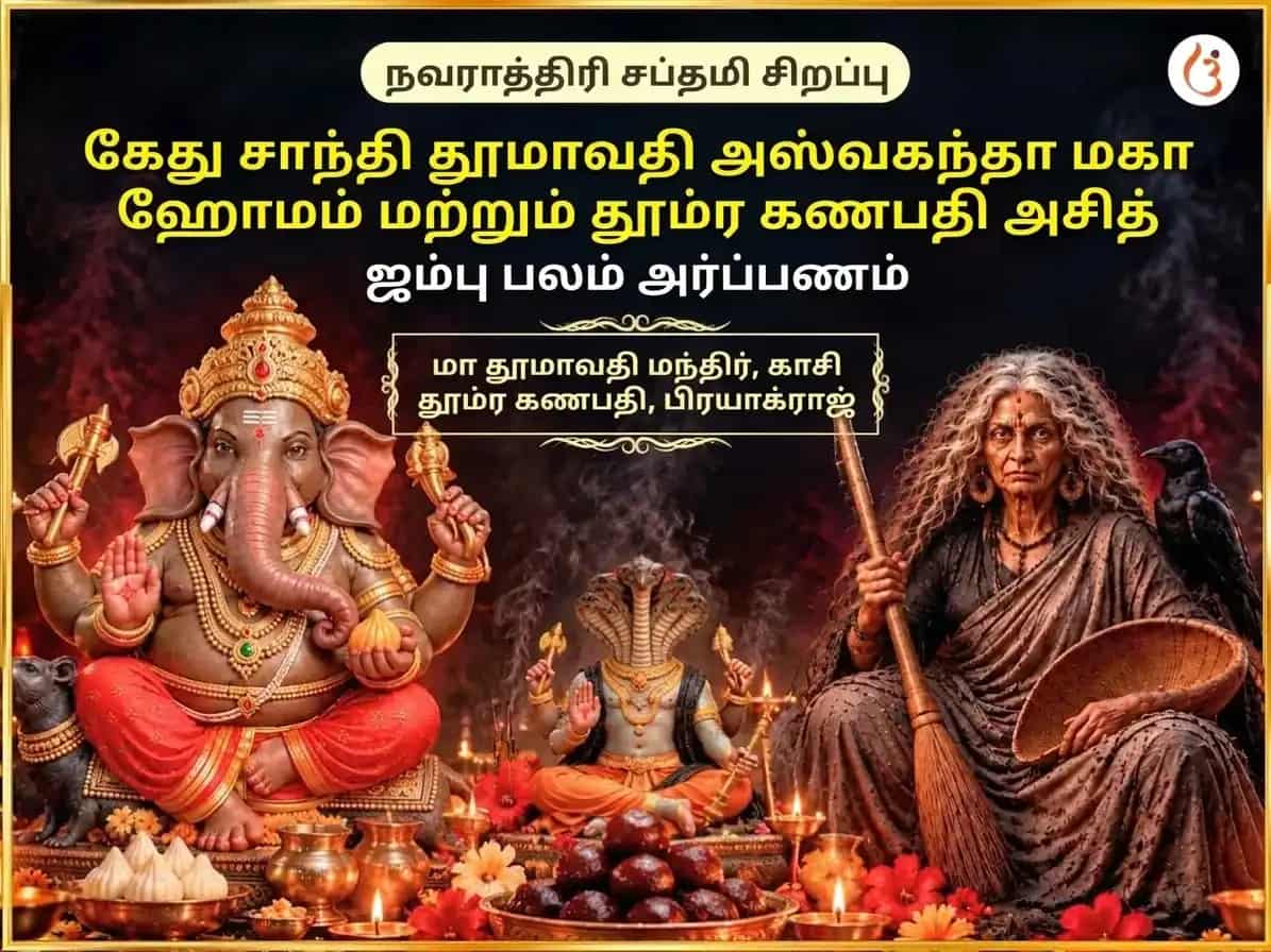 நவராத்திரி சப்தமி சிறப்பு கேதுவை இயக்கும் தூமாவதி அஸ்வகந்தா ஹவன் மற்றும் தூம்ர கணபதி அசித ஜம்பு பழம் (காலா ஜாமுன்) அர்ப்பணம் puja image 1