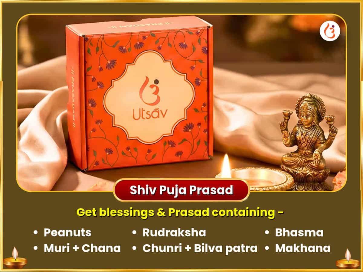 Navratri Tritiya Tithi Special 11,000 Guru Mool Mantra Jaap & 5,100 Shree Gaj Lakshmi Beej Mantra Jaap sahit Gaj Murti Chadhaava puja gallery 3
