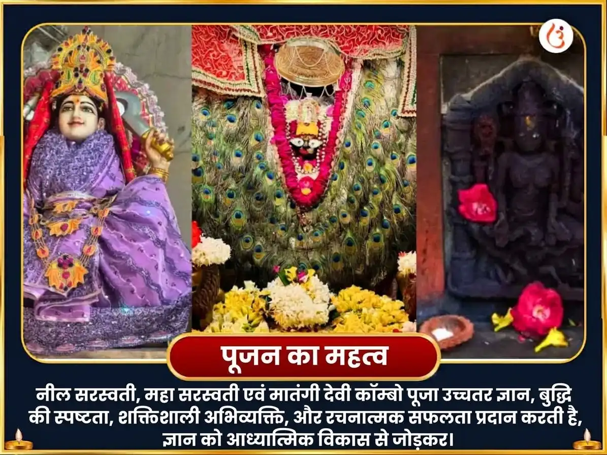 सरस्वती आवाहन विशेष नील सरस्वती मातंगी संयुक्त महा सरस्वती विशेष दान सेवा puja gallery 3