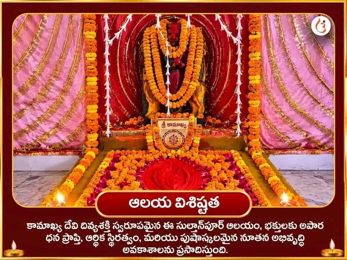నవరాత్రి విశేష్ మా కామాఖ్య 108 కమల్ గట్టే సహిత శత్రు నిధాన్ మహా హవన్ puja gallery 4