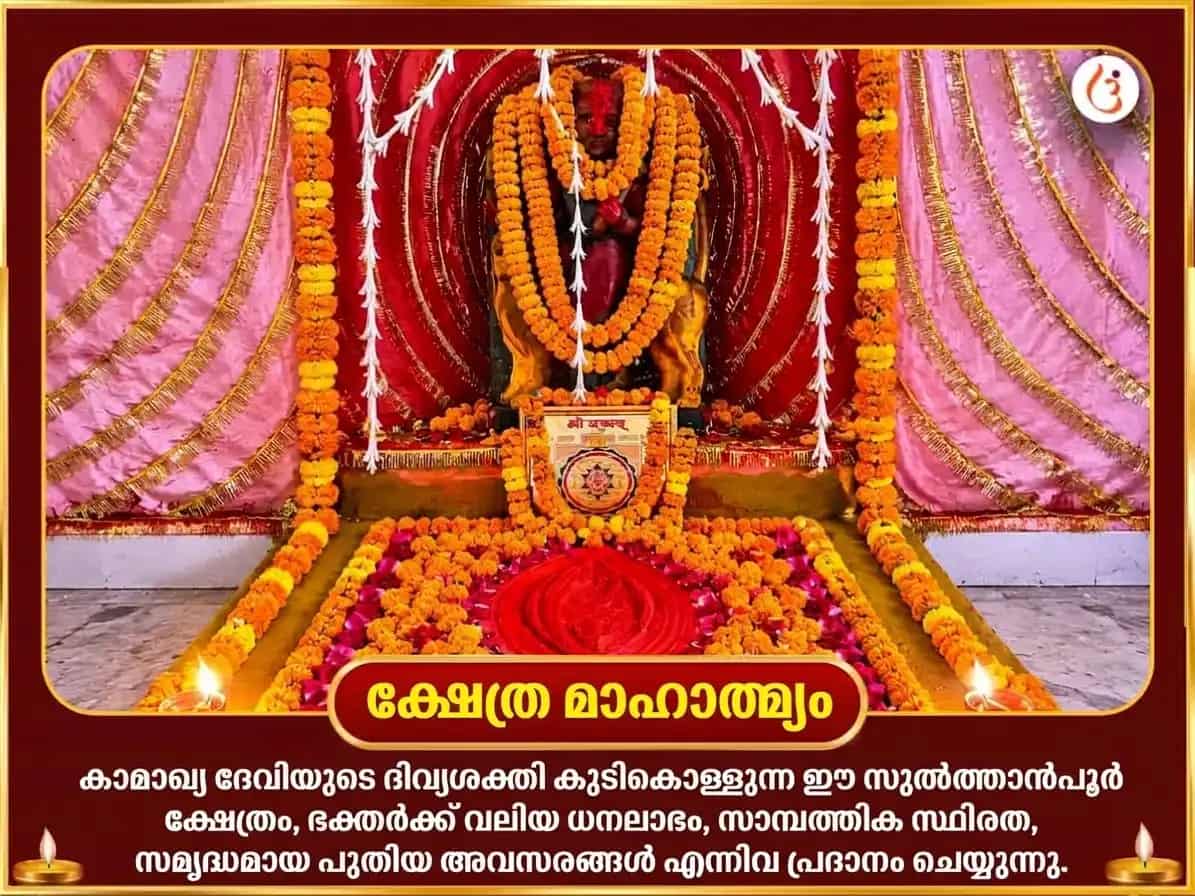 നവരാത്രി വിശേഷ് മാ കാമാഖ്യ 108 കമൽ ഗട്ടേ സഹിത് ശത്രു നിധൻ മഹാ ഹവൻ puja gallery 4