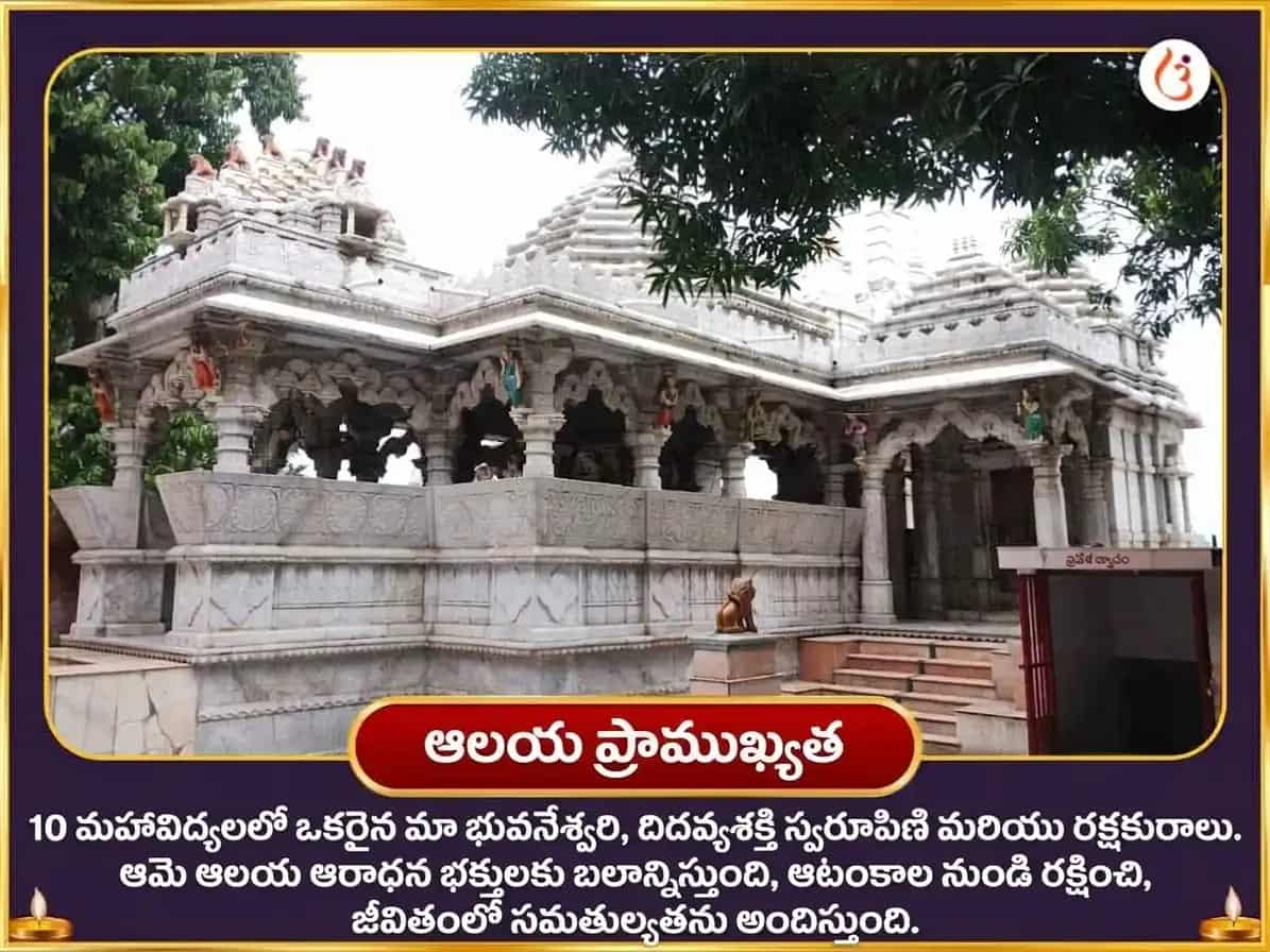మహా నవమి విశేష్ నవచండీ హోమం puja gallery 4