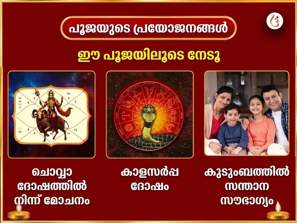 മംഗൾവാർ സ്പെഷ്യൽ കാർത്തികേയ സ്വാമി 50,400 മൂലമന്ത്ര ജപം & പൂർണ്ണാഹുതി ഹവനം puja gallery 1