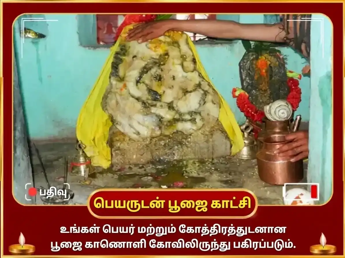 செவ்வாய் சிறப்பு கார்த்திகேய சுவாமி 50,400 மூல மந்திர ஜபம் & பூர்ண ஆகுதி ஹவன் puja gallery 2