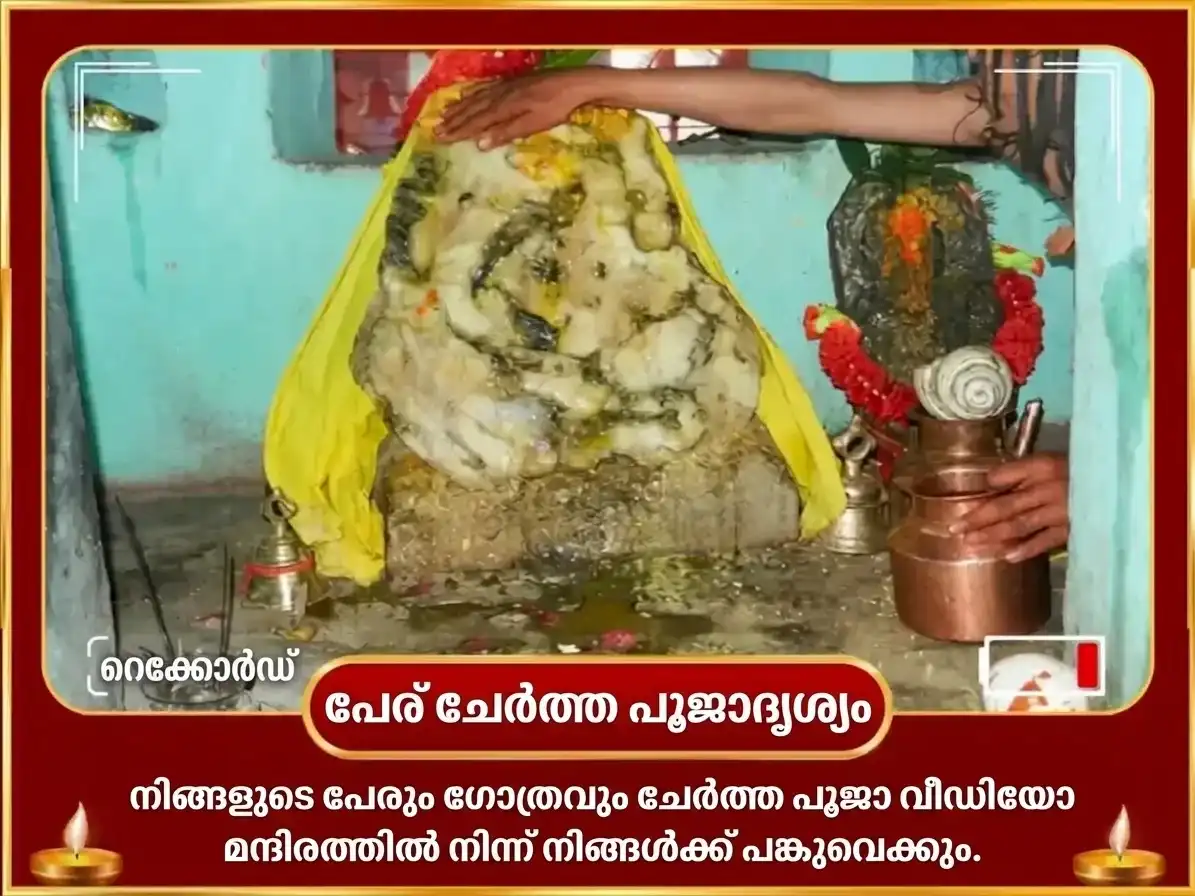 മംഗൾവാർ സ്പെഷ്യൽ കാർത്തികേയ സ്വാമി 50,400 മൂലമന്ത്ര ജപം & പൂർണ്ണാഹുതി ഹവനം puja gallery 2