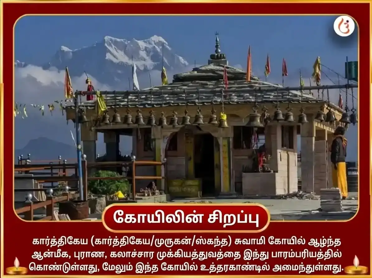 செவ்வாய் சிறப்பு கார்த்திகேய சுவாமி 50,400 மூல மந்திர ஜபம் & பூர்ண ஆகுதி ஹவன் puja gallery 4