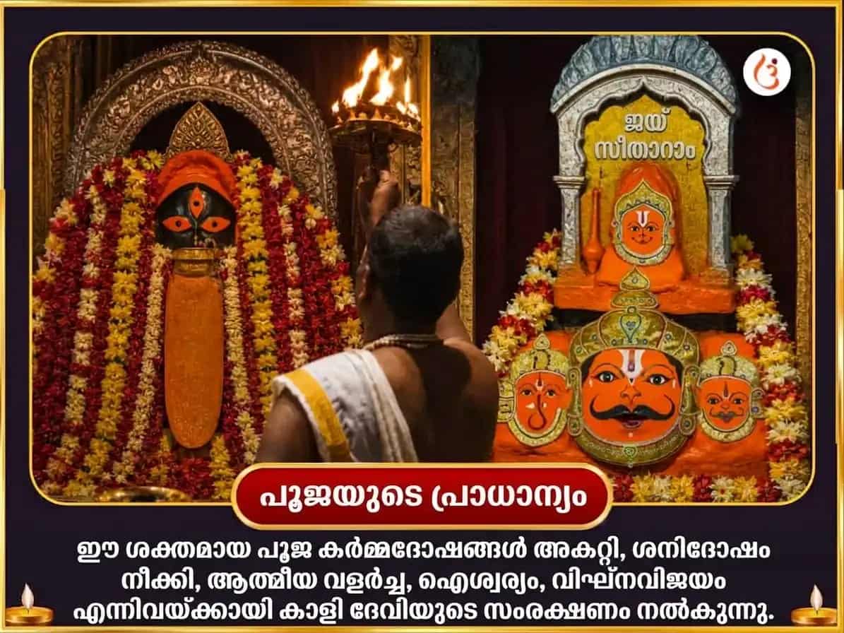 നവരാത്രി സപ്തമി തിഥി സ്പെഷ്യൽ 23000 ശനി മൂല മന്ത്ര ജപവും അഷ്ടകാളി മഹാ താന്ത്രിക ഹവനവും puja gallery 5