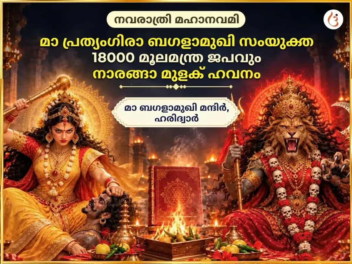 നവരാത്രി നവമി സ്പെഷ്യൽ മാ ബഗളാമുഖി പ്രത്യംഗിര സംയുക്ത 18000 മൂലമന്ത്ര ജപവും നാരങ്ങാ മുളക് ഹവനവും puja image 1