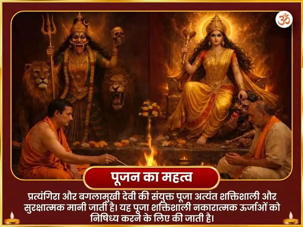 दशहरा विशेष माँ बगलामुखी प्रत्यंगिरा संयुक्त 18000 मूल मंत्र जाप एवं नींबू मिर्ची हवन puja gallery 4
