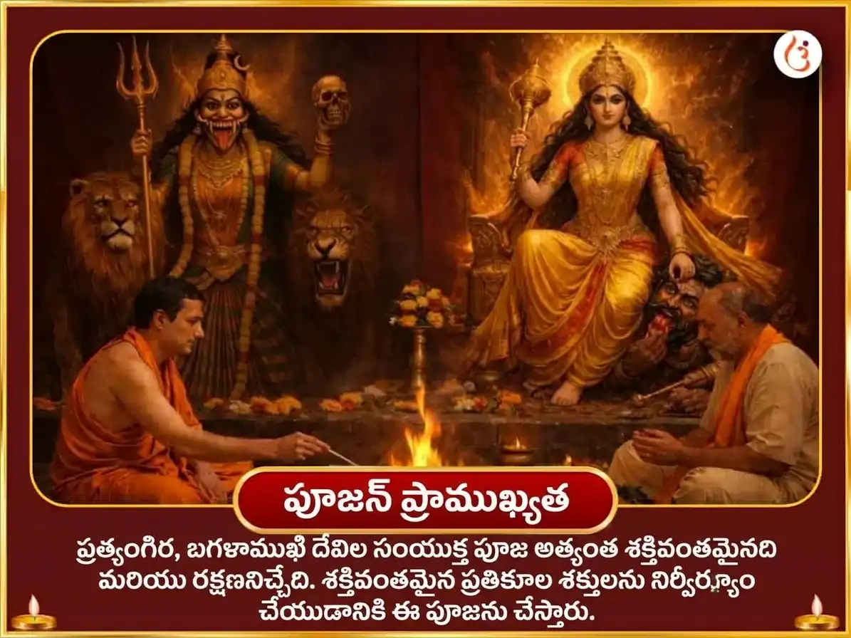 నవరాత్రి నవమి ప్రత్యేకం మా బగళాముఖి ప్రత్యంగిర సంయుక్త 18000 మూల మంత్ర జపం మరియు నిమ్మ మిర్చి హవనం puja gallery 4