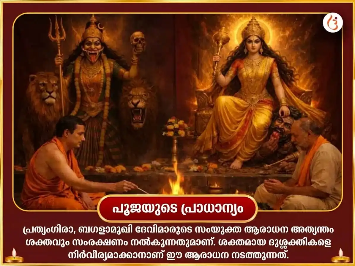 നവരാത്രി നവമി സ്പെഷ്യൽ മാ ബഗളാമുഖി പ്രത്യംഗിര സംയുക്ത 18000 മൂലമന്ത്ര ജപവും നാരങ്ങാ മുളക് ഹവനവും puja gallery 4