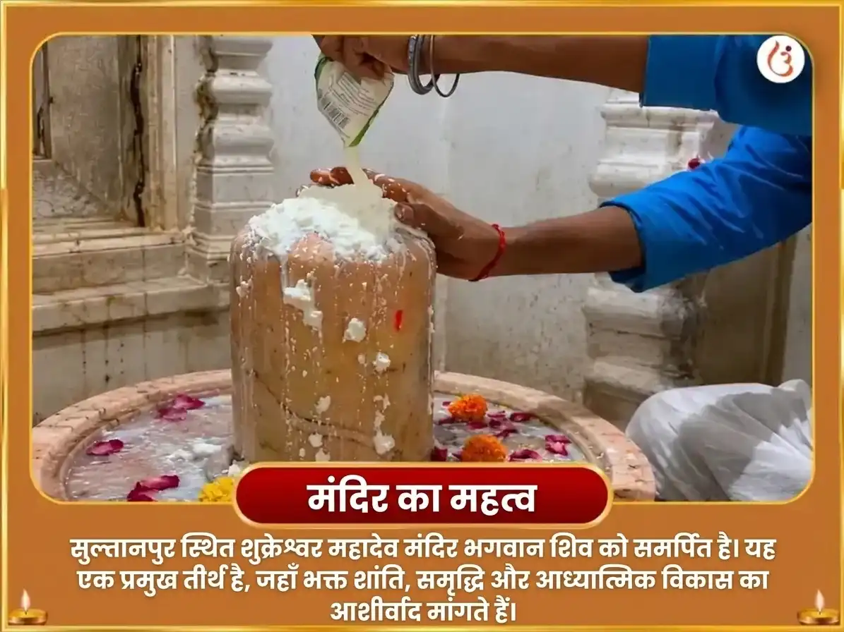 शुक्रादित्य राजयोग विशेष 6000 शुक्र मूल मंत्र जाप महा अनुष्ठान puja gallery 4