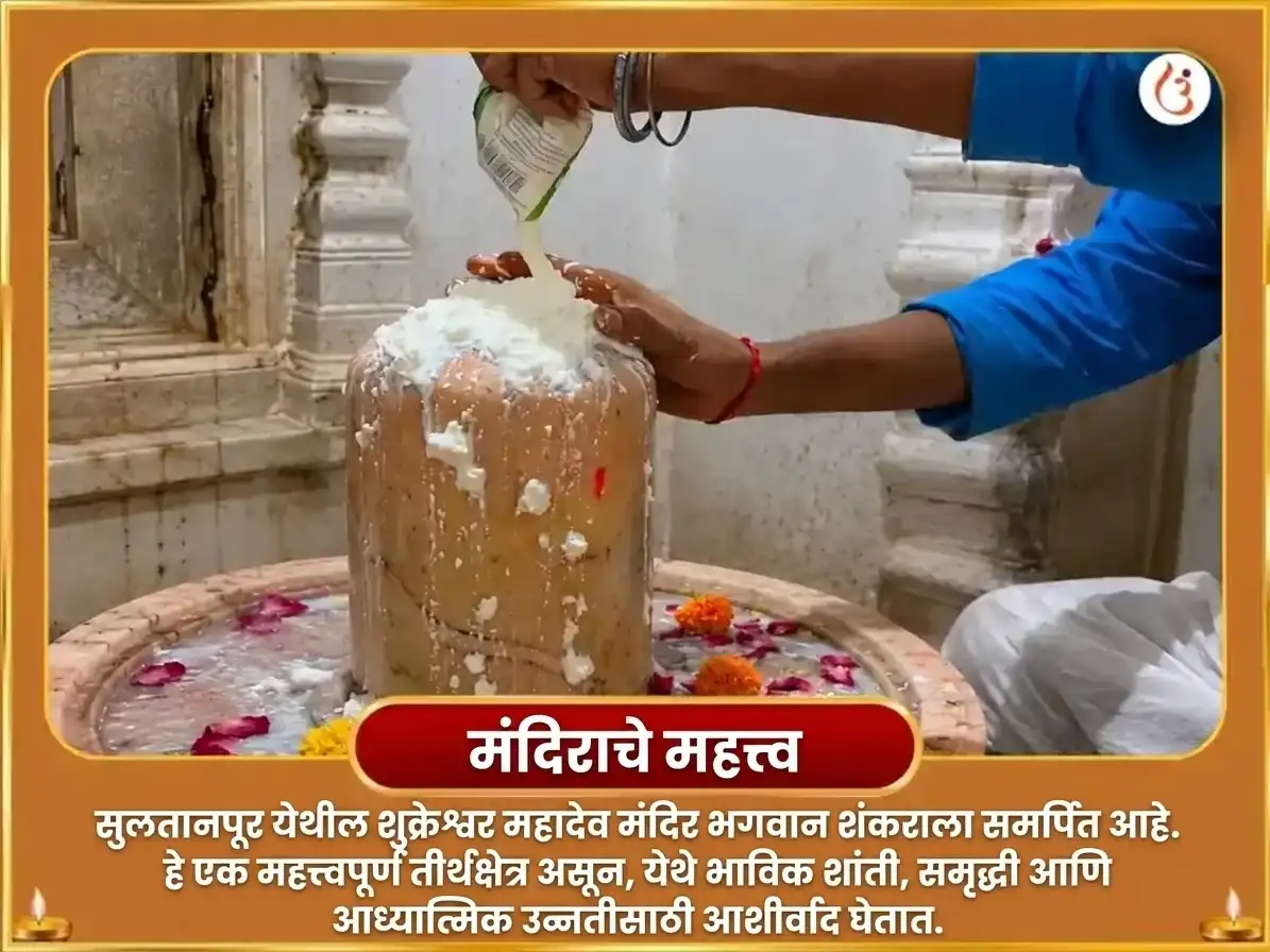शुकरादित्य राजयोग विशेष 6000 शुक्र मूळ मंत्र जाप महा अनुष्ठान puja gallery 4