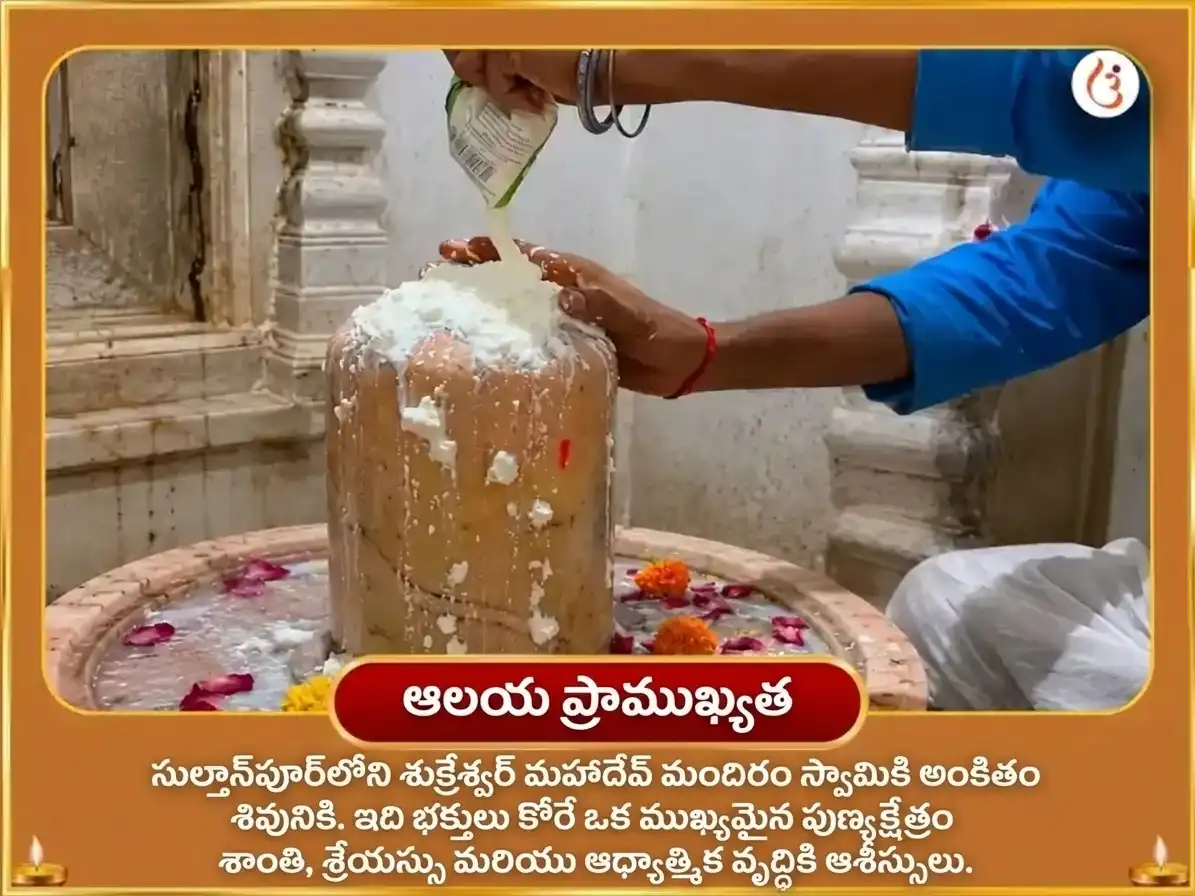 శుక్రాదిత్య రాజయోగ విశేష్ 6000 శుక్ర మూల మంత్ర జాప్ మహా అనుష్ఠాన్ puja gallery 4