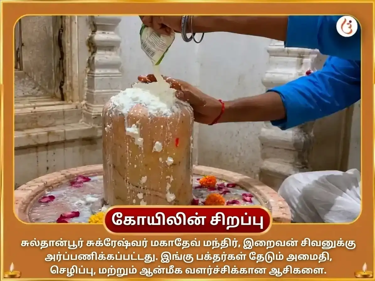 சுக்ராதித்ய ராஜயோக விசேஷ 6000 சுக்ர மூல மந்திர ஜப மகா அனுஷ்டான் puja gallery 4
