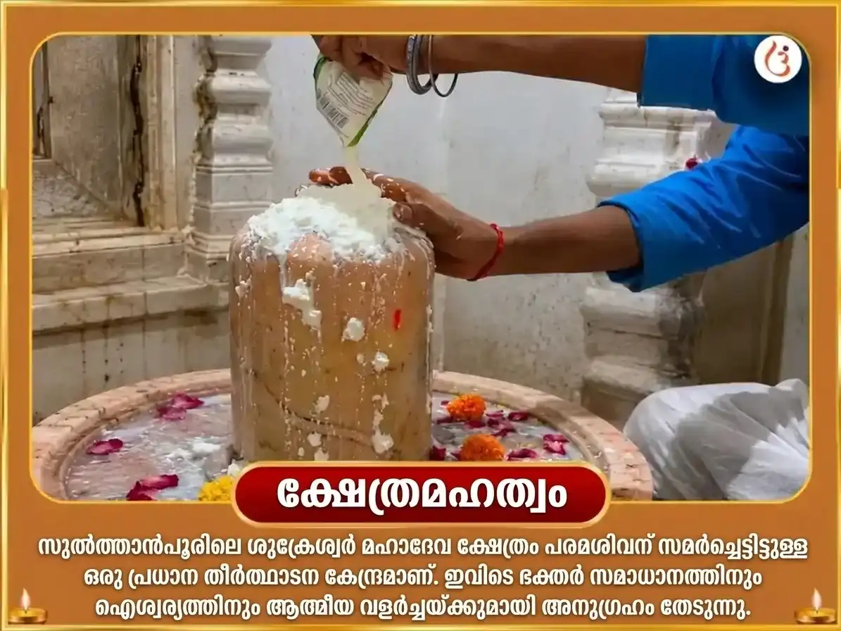 ശുക്രാദിത്യ രാജയോഗ വിശേഷ് 6000 ശുക്ര മൂല മന്ത്ര ജപ മഹാ അനുഷ്ഠാൻ puja gallery 4