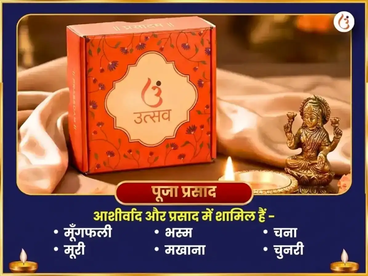 संकष्टी चतुर्थी विशेष एकदंताय गणेश 1008 वक्रतुंड श्लोक और दूर्वा अभिषेक puja gallery 3