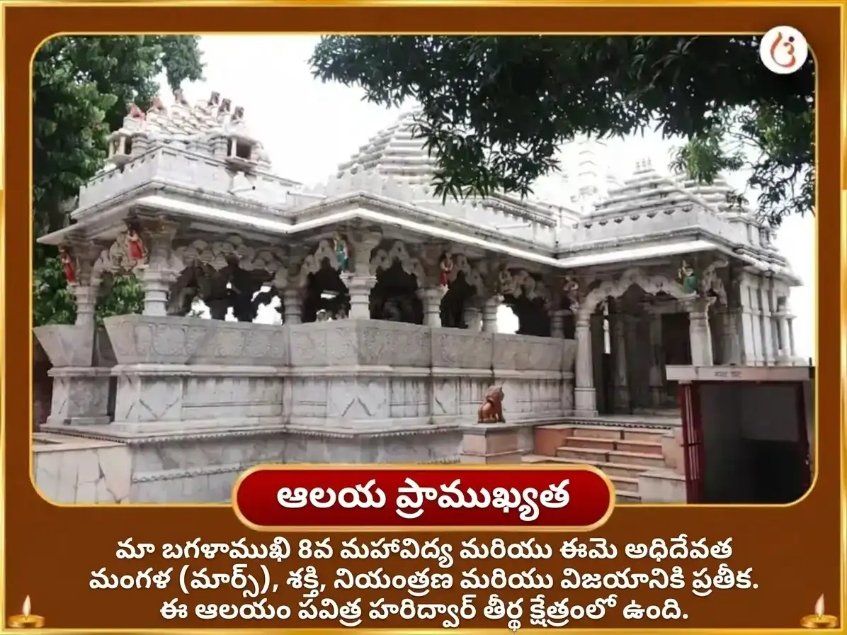నవరాత్రి విశేష్ మా బగళాముఖి 51000 లాల్ మిర్చి శత్రు నాశక్ మహా తంత్ర హవనం puja gallery 4