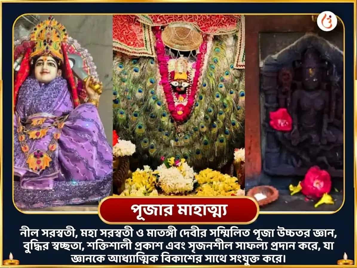 কালাষ্টমী বিশেষ নীল সরস্বতী মাতঙ্গী সংযুক্ত মহা সরস্বতী বিশেষ দান সেবা puja gallery 3