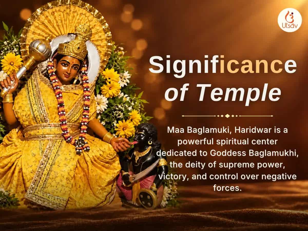 Kali Chaudas Vishesh 51,000 Maa Baglamukhi Kali Shabar Mantra Jaap & Chaturdasha Shak Arpan Maha Puja puja gallery 5
