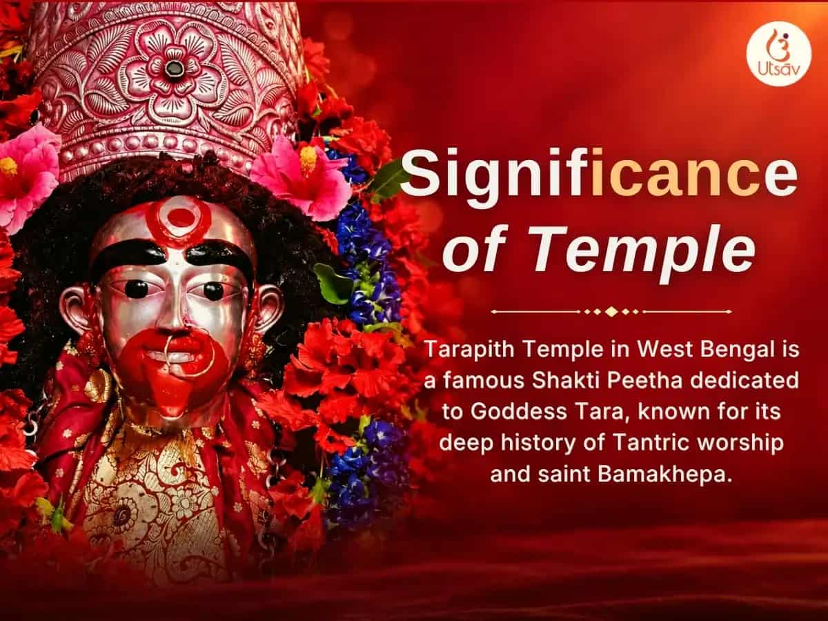 Kali Chaudas Vishesh Maa Ugra Tara 14 Neel Kamal Arpan, 1008 Tara Mantra Jaap Evam Chaturdash Raksha Deep Daan Maha Puja puja gallery 5